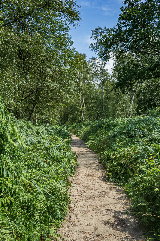 Froggatt Edge